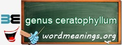WordMeaning blackboard for genus ceratophyllum